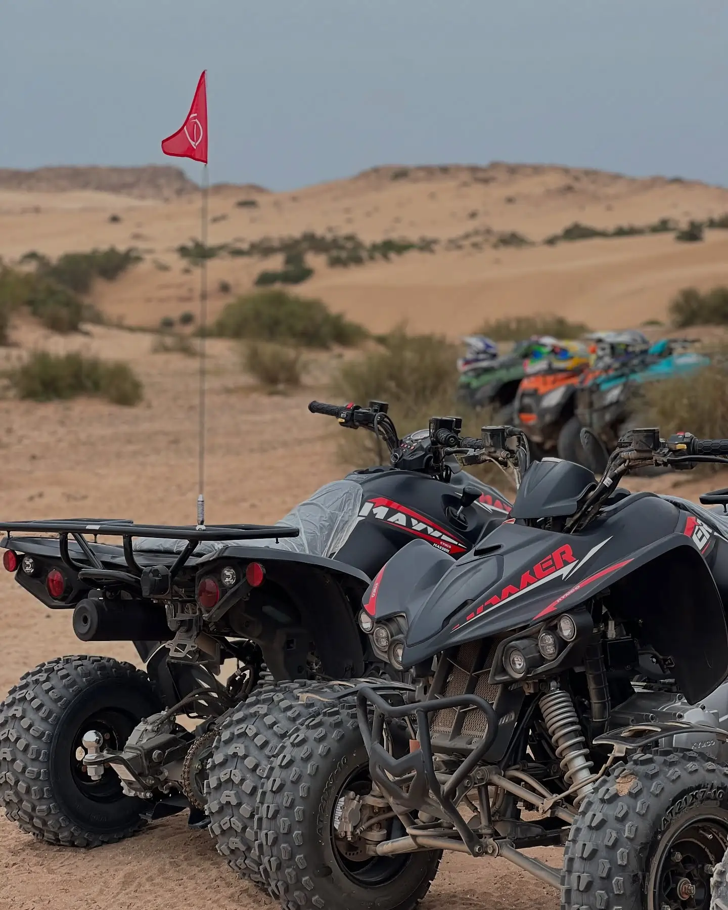 Quad Tours in Timlalin