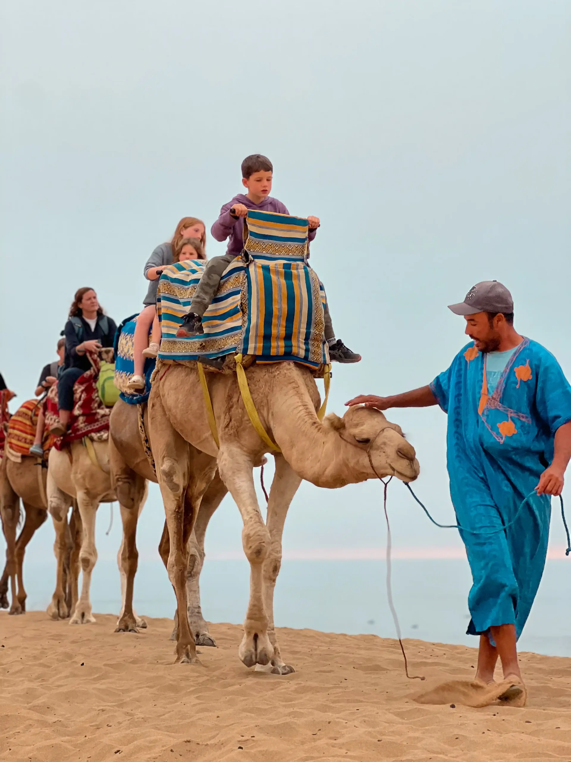 Camel Ride in Timlalin Desert, Agadir